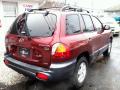 2004 Santa Fe GLS 4WD #7