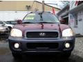 2004 Santa Fe GLS 4WD #10