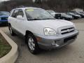 2006 Santa Fe GLS 4WD #6