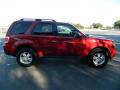 2012 Escape XLT #3