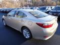 2013 ES 300h Hybrid #2