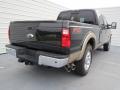 2013 F250 Super Duty Lariat Crew Cab 4x4 #3 2013 F250 Super Duty Lariat Crew Cab 4x4 #3