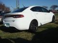 2013 Dart Rallye #3
