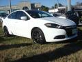 2013 Dart Rallye #4