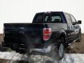 2009 F150 XLT SuperCrew 4x4 #4