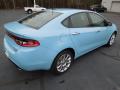 2013 Dart Limited #5 2013 Dart Limited #5