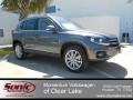 2012 Tiguan SE #1 2012 Tiguan SE #1