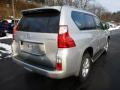 2013 GX 460 #4