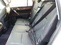 2013 GX 460 #10
