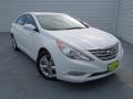 2011 Sonata Limited #1 2011 Sonata Limited #1