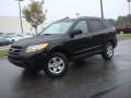 2009 Santa Fe GLS #2