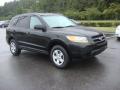2009 Santa Fe GLS #6