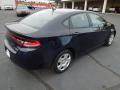 2013 Dart Aero #5