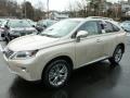 2013 RX 450h AWD #8
