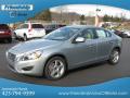 2013 S60 T5 #3