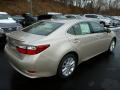 2013 ES 300h Hybrid #4 2013 ES 300h Hybrid #4