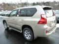 2013 GX 460 #2