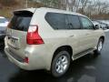 2013 GX 460 #4