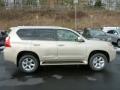 2013 GX 460 #5