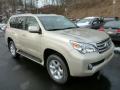 2013 GX 460 #6