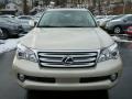 2013 GX 460 #7