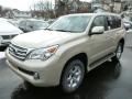 2013 GX 460 #8