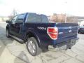 2013 F150 Limited SuperCrew 4x4 #6