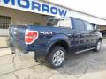2013 F150 Limited SuperCrew 4x4 #8