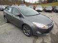 2013 Focus SE Sedan #2