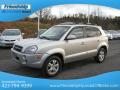 2008 Tucson Limited #3