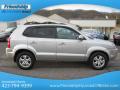 2008 Tucson Limited #6