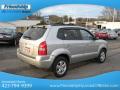2008 Tucson Limited #7