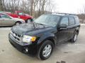 2012 Escape XLT 4WD #4