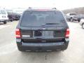 2012 Escape XLT 4WD #7