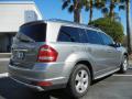  2010 Mercedes-Benz GL Palladium Silver Metallic #7