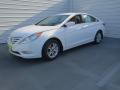 2013 Sonata GLS #6