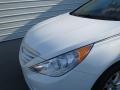 2013 Sonata GLS #9
