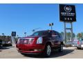 2011 Escalade Luxury #1