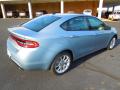 2013 Dart Rallye #5
