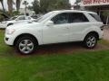 2011 ML 350 BlueTEC 4Matic #2