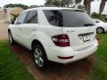 2011 ML 350 BlueTEC 4Matic #3