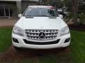 2011 ML 350 BlueTEC 4Matic #8