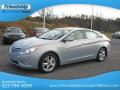 2013 Sonata SE #3