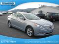 2013 Sonata SE #5