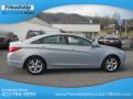 2013 Sonata SE #6