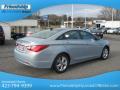 2013 Sonata SE #7