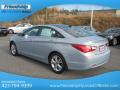 2013 Sonata SE #9
