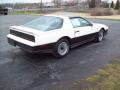1983 Firebird Trans Am 25th Anniversary Daytona 500 Pace Car Coupe #4