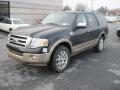 Front 3/4 View of 2013 Ford Expedition King Ranch 4x4 #2