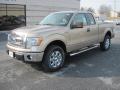 2013 F150 XLT SuperCab 4x4 #2